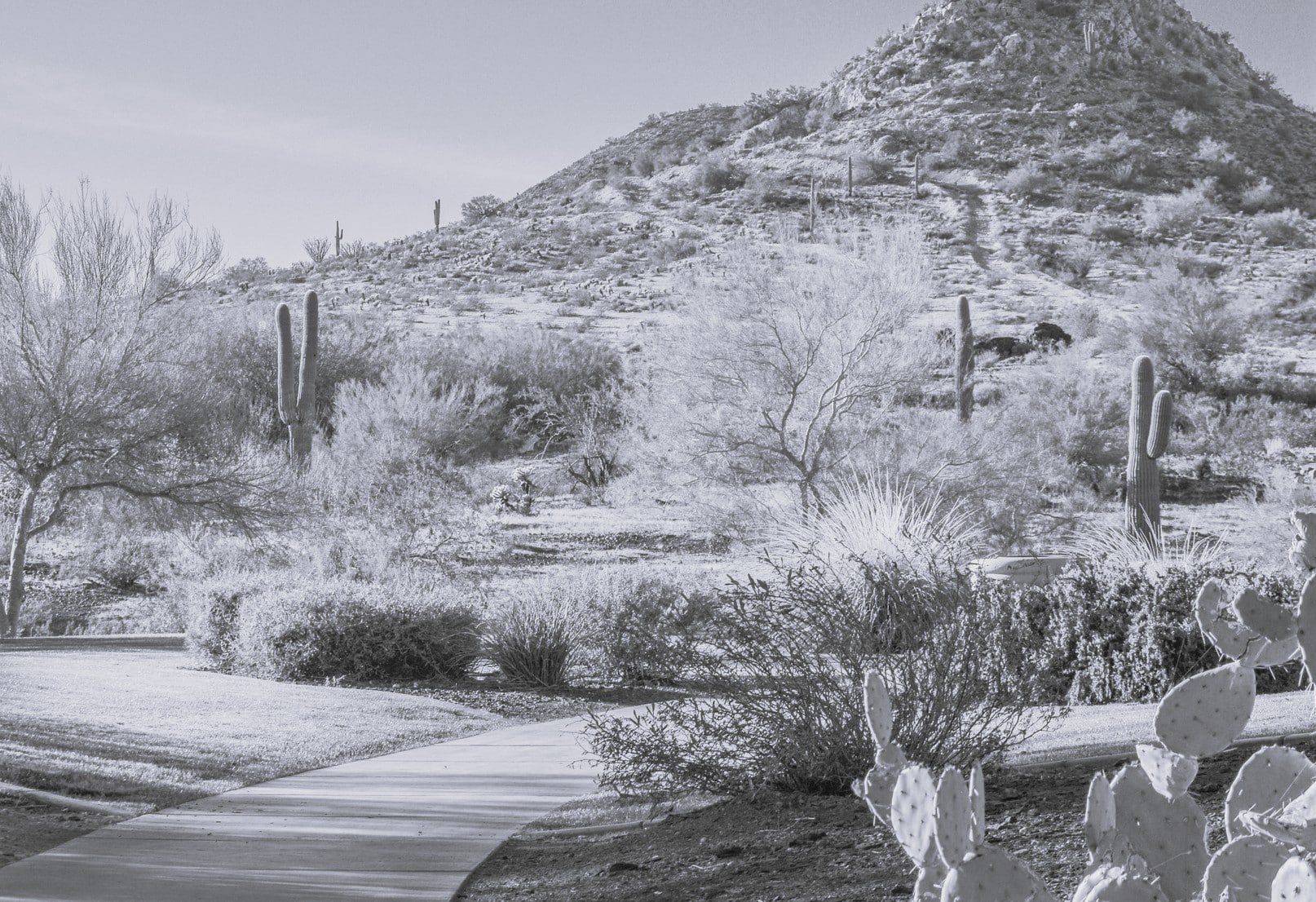 Managed IT Services in Peoria, AZ