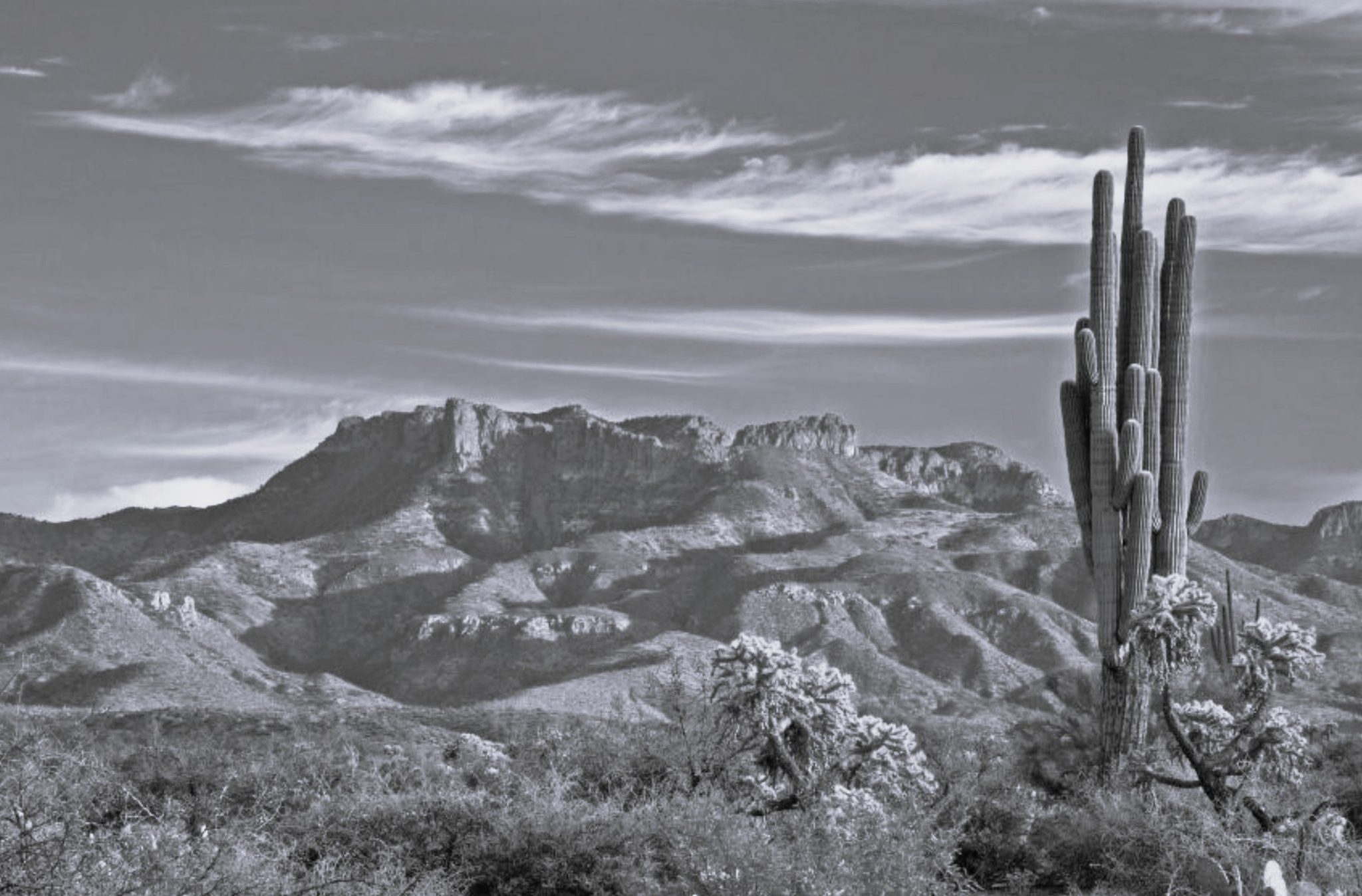 Managed IT Services in Queen Creek, AZ